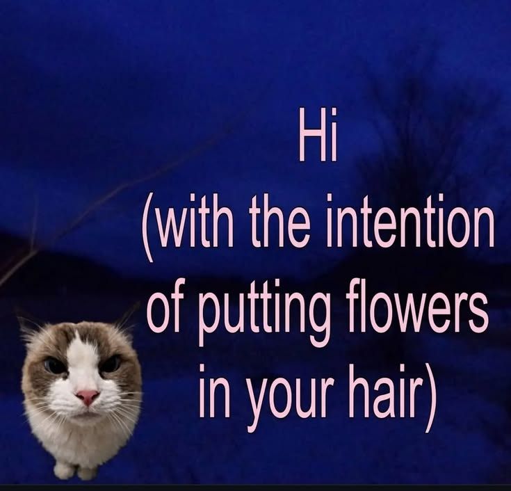 Hi, you are all cutiessss for sure