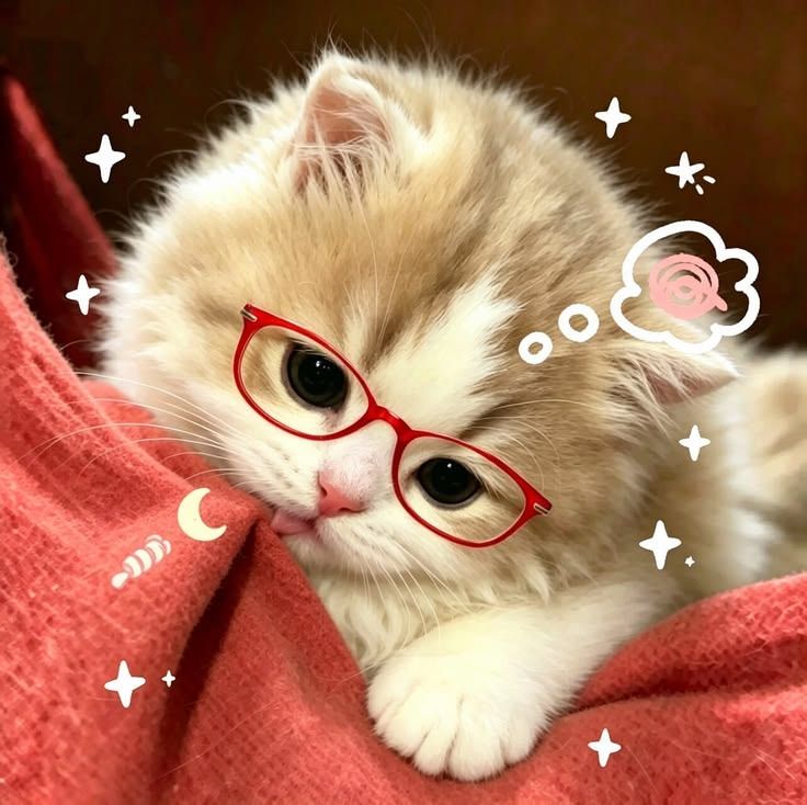 dooo uuu want to