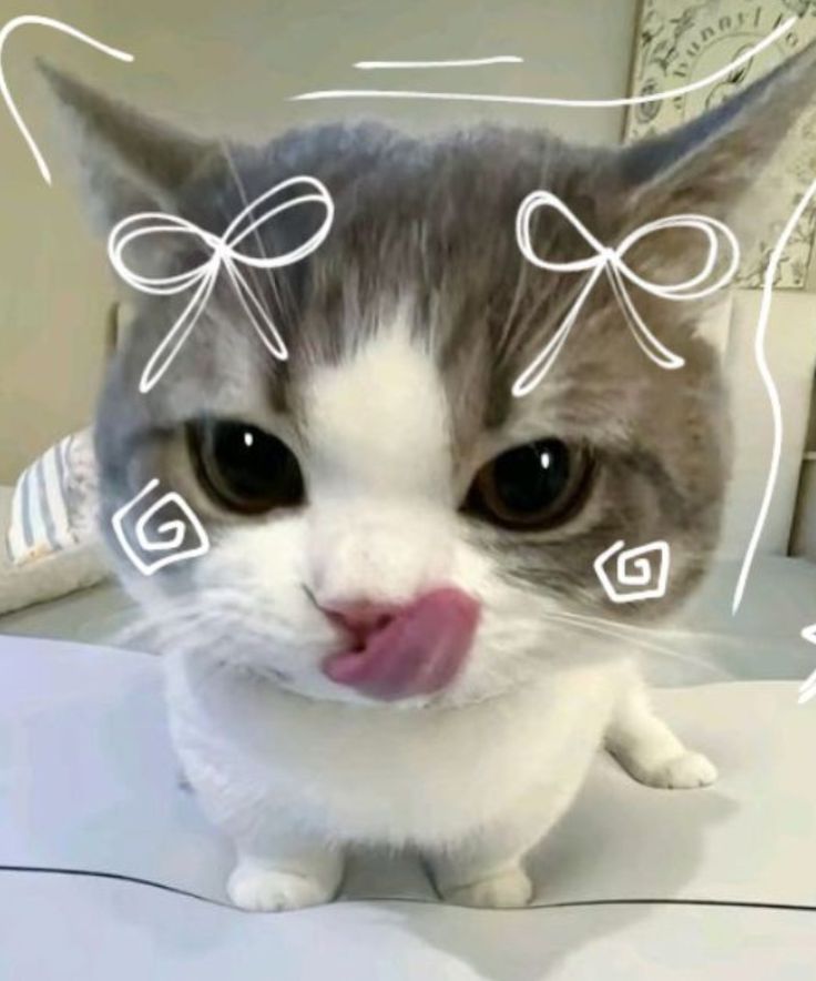 boop