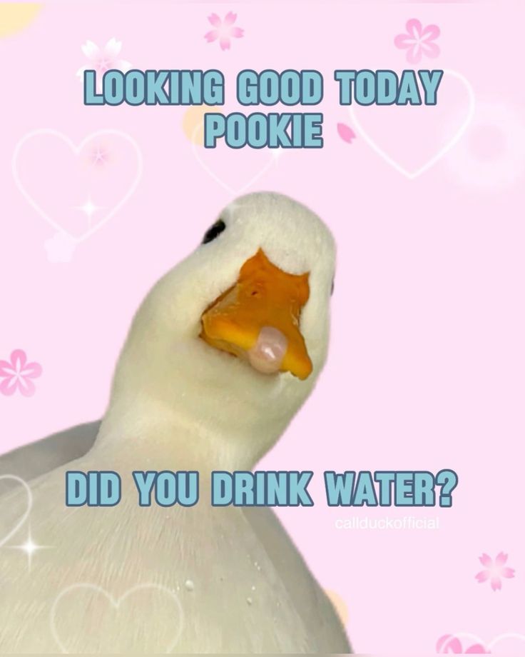 wiwiwi I am bacck