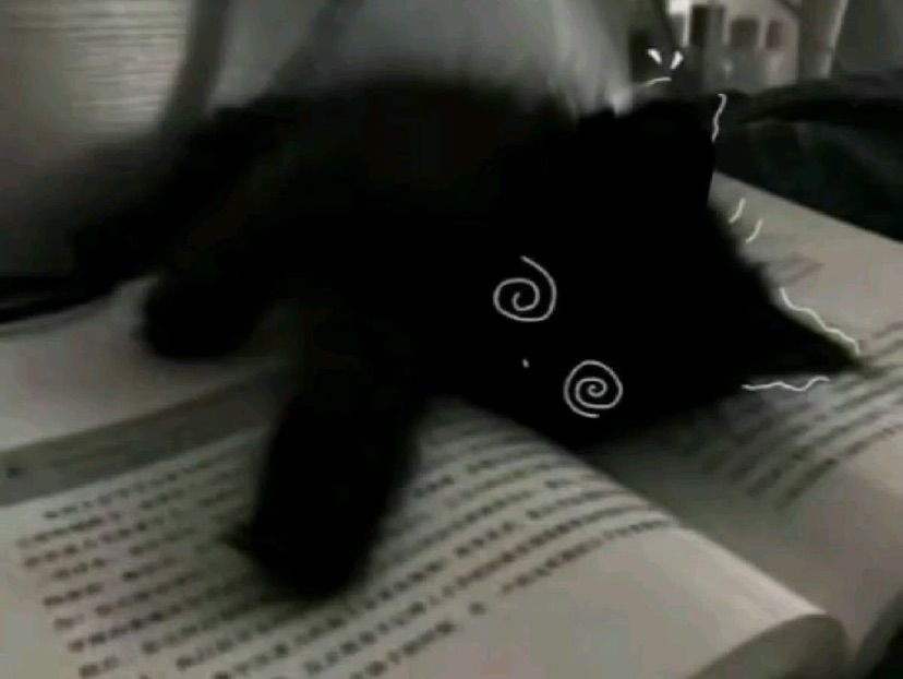 good kitty this meowning