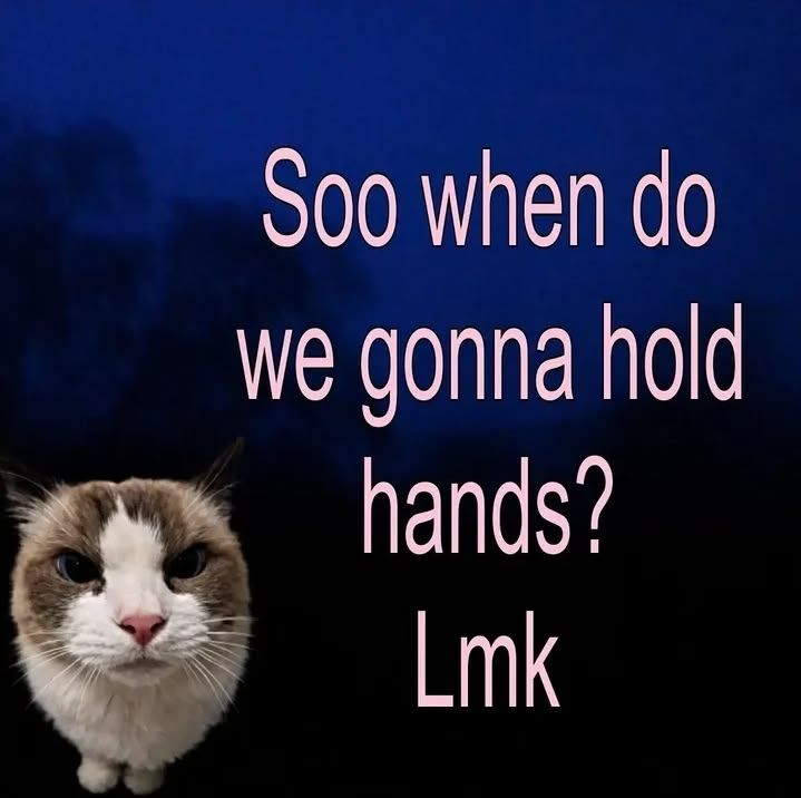 meow