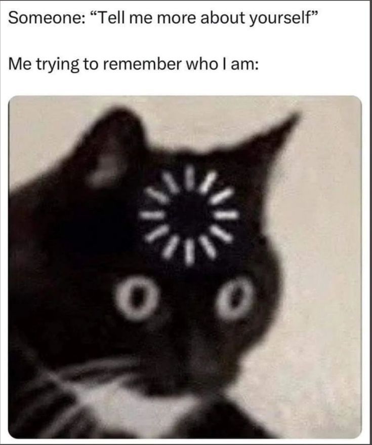 pls dont ask me this silly question