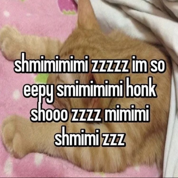 ok ok