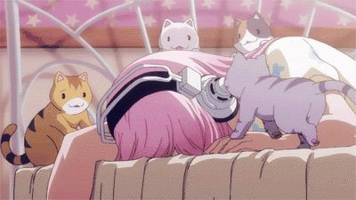 rawr