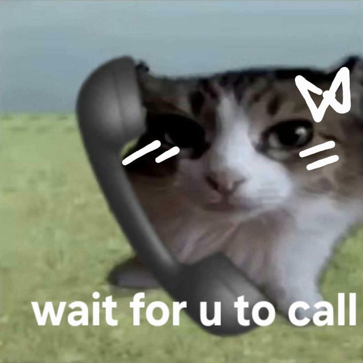 RAWR