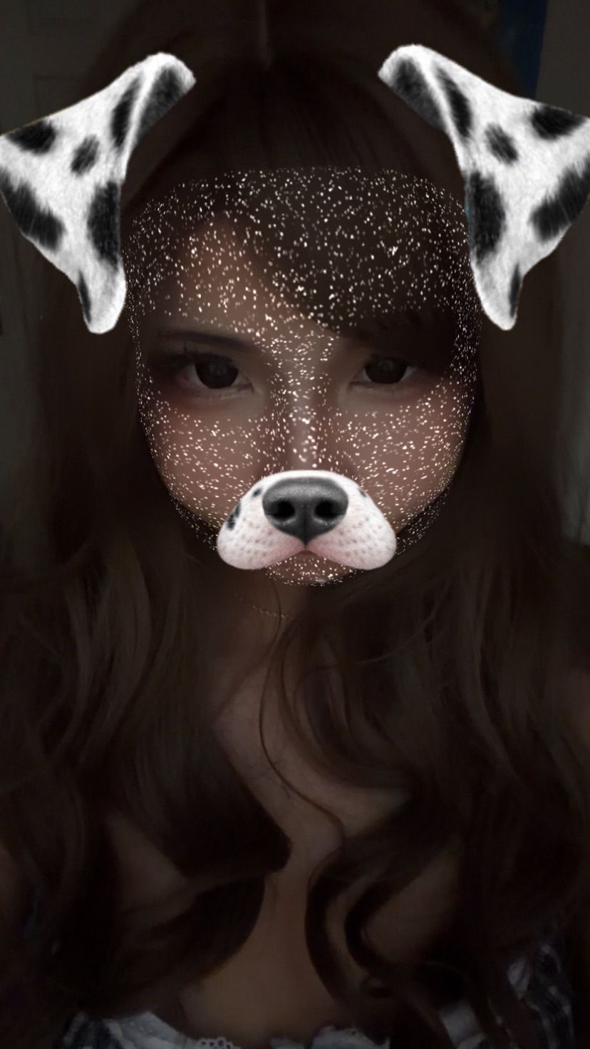 Puppy filter