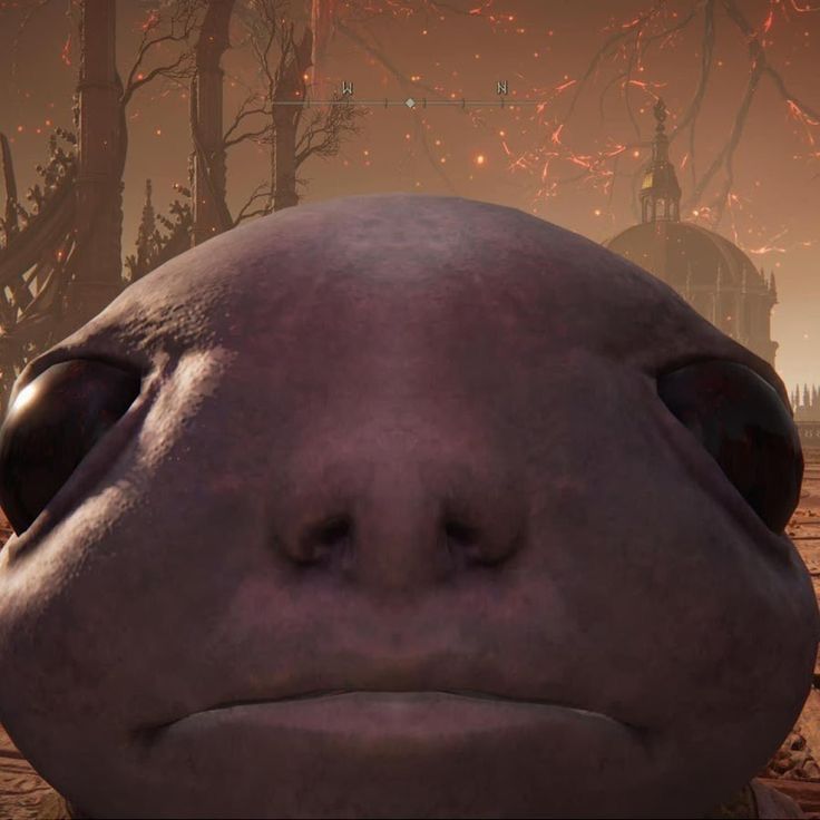 got back into elden ring again