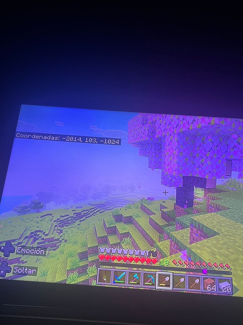 Looking for a Minecraft buddy 👀⛏️