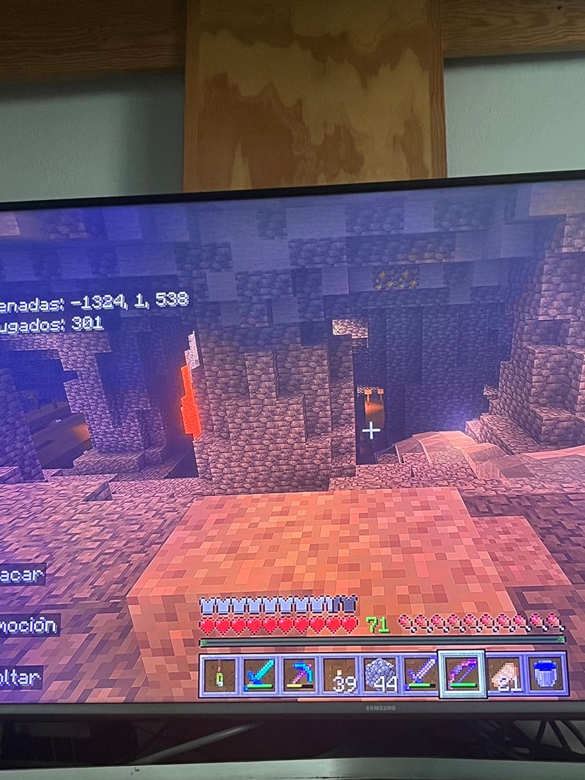 A veces solo Minecraft. 🌱🤍