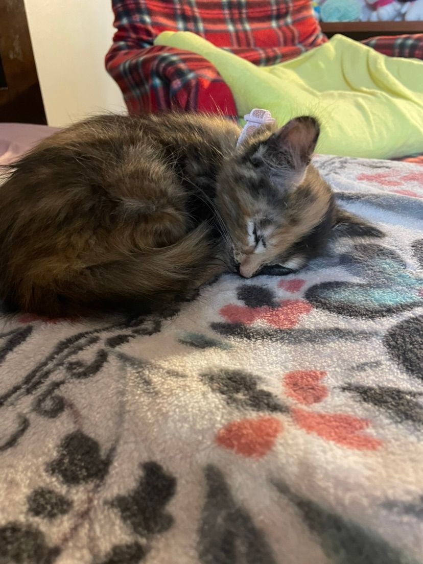 Kitty?