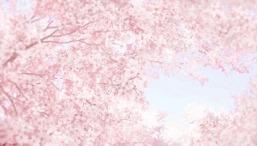 🎀
