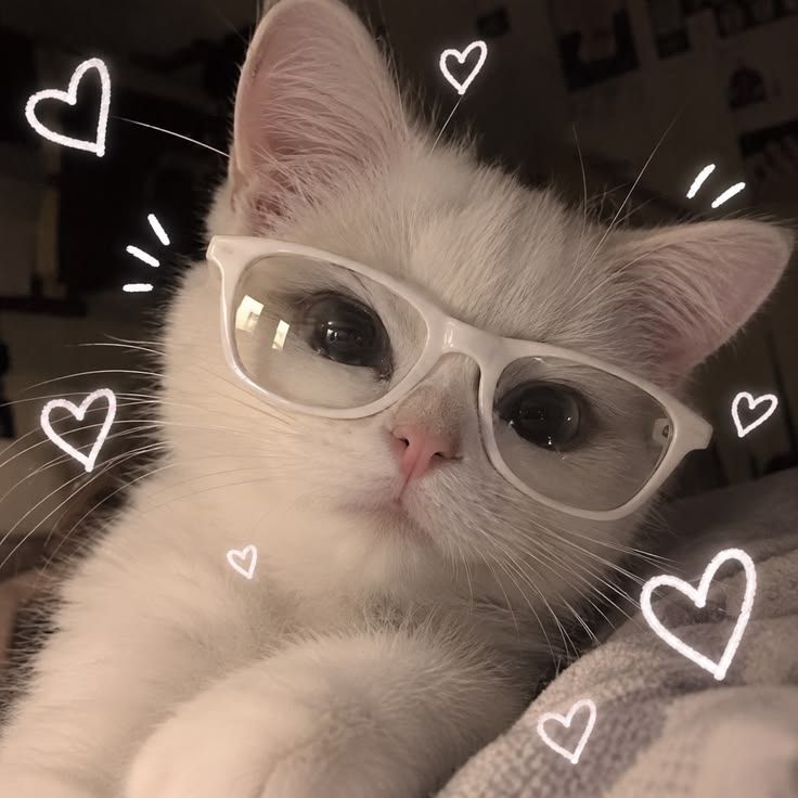 Moww