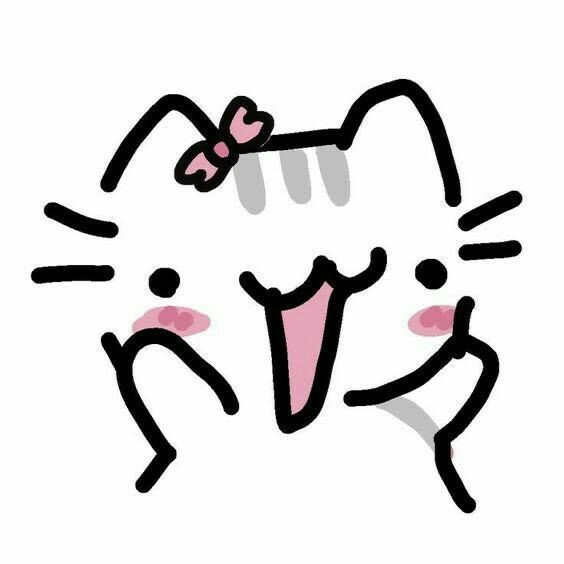 Lets chat 𑣲⋆