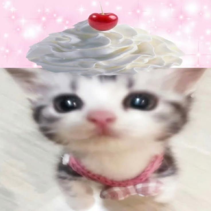 ꒰ა 🌙 ໒꒱ ˚₊୨୧
