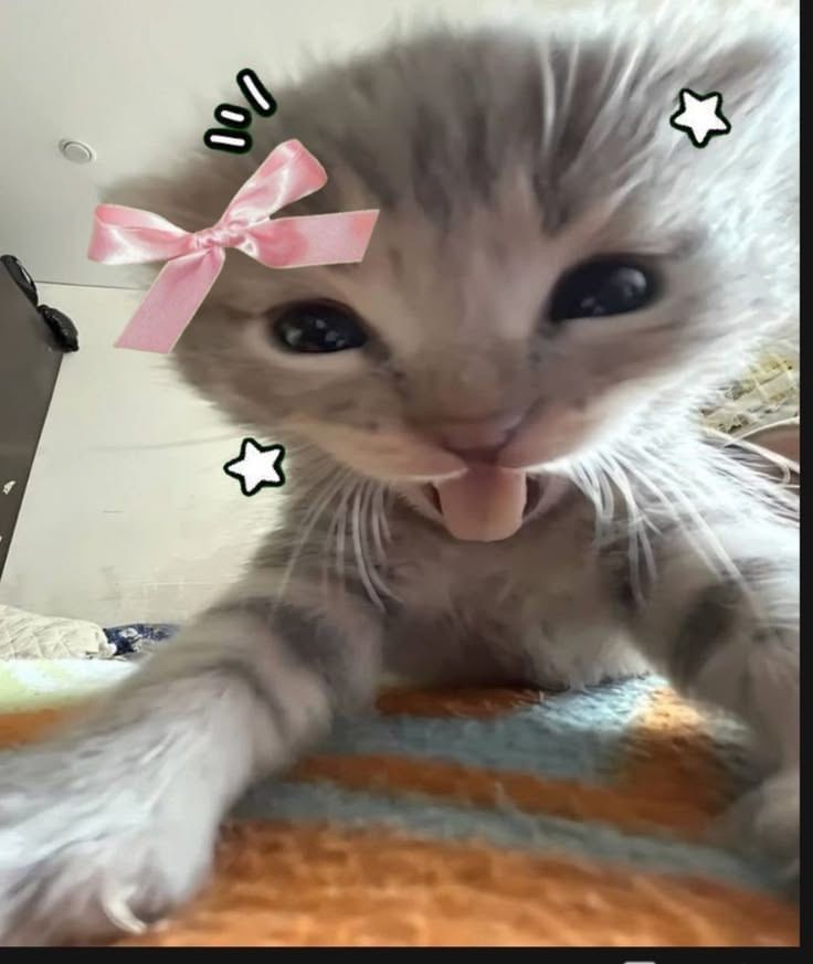 <3