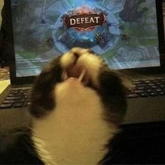 I'm don't know anything about league