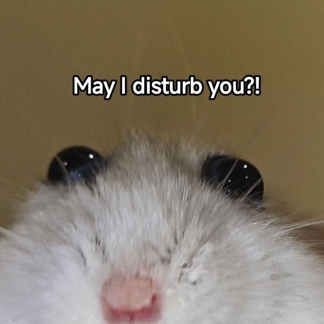 hihi