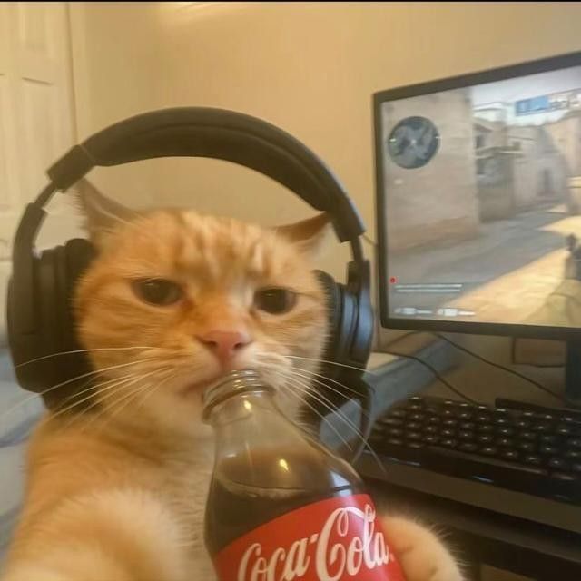 Waiting for you to say hi