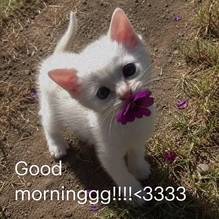 hiii <3