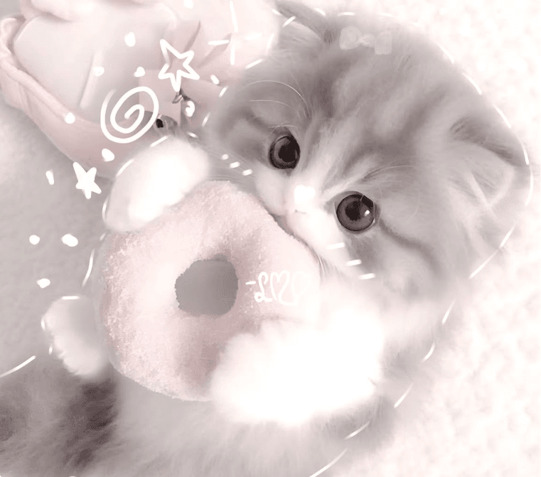 Caught you looking... ♡