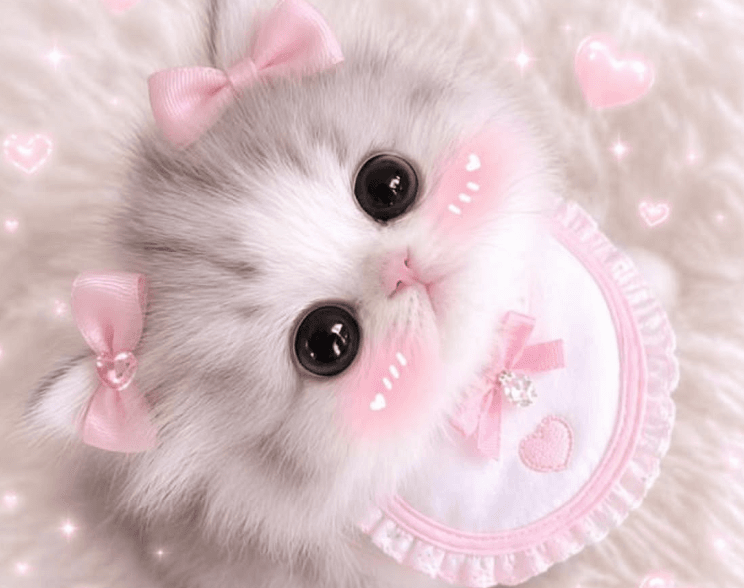 I'm here... Come talk to me ♡