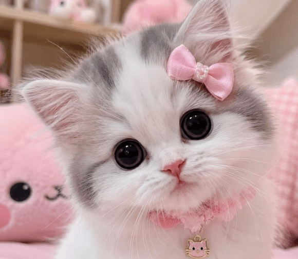 Want a little more of me? ♡
