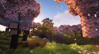 Japanese House in Cherry Biome 🌸