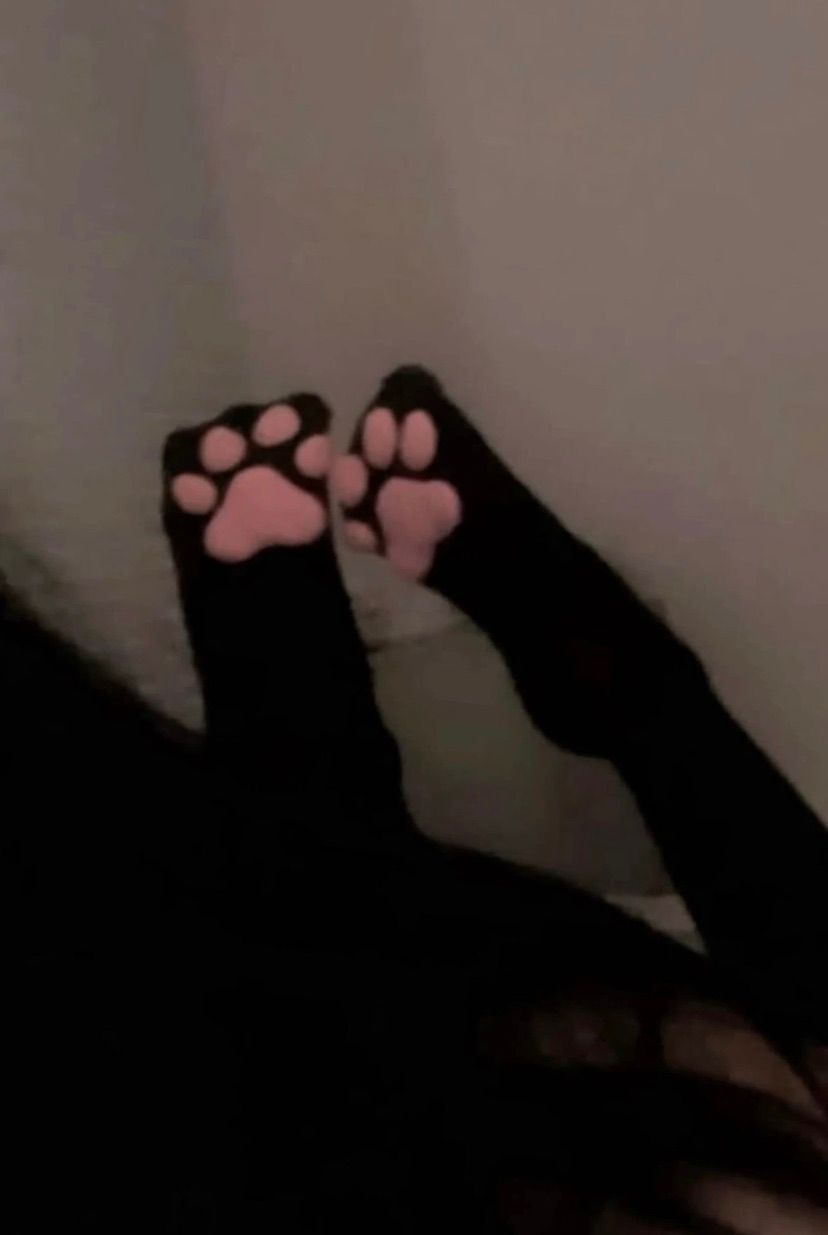 i am a catgirl from now haha