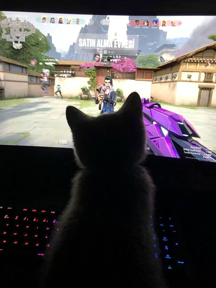 i think my keyboard is being rented by her