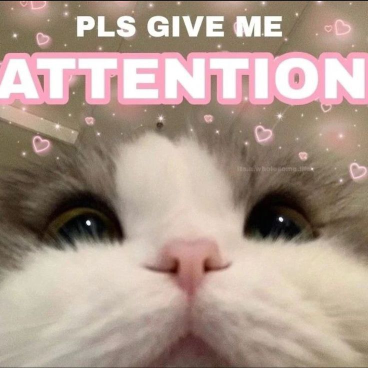 Tell me about ur day!!! 👉👈