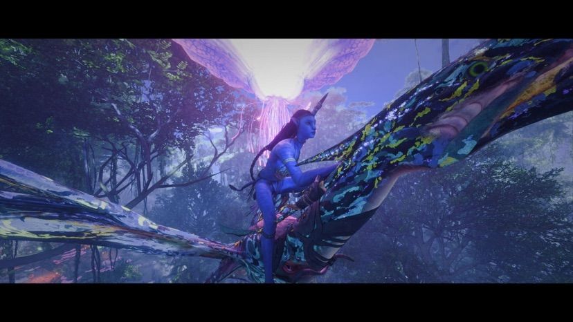 ⭐︎Avatar⭐︎