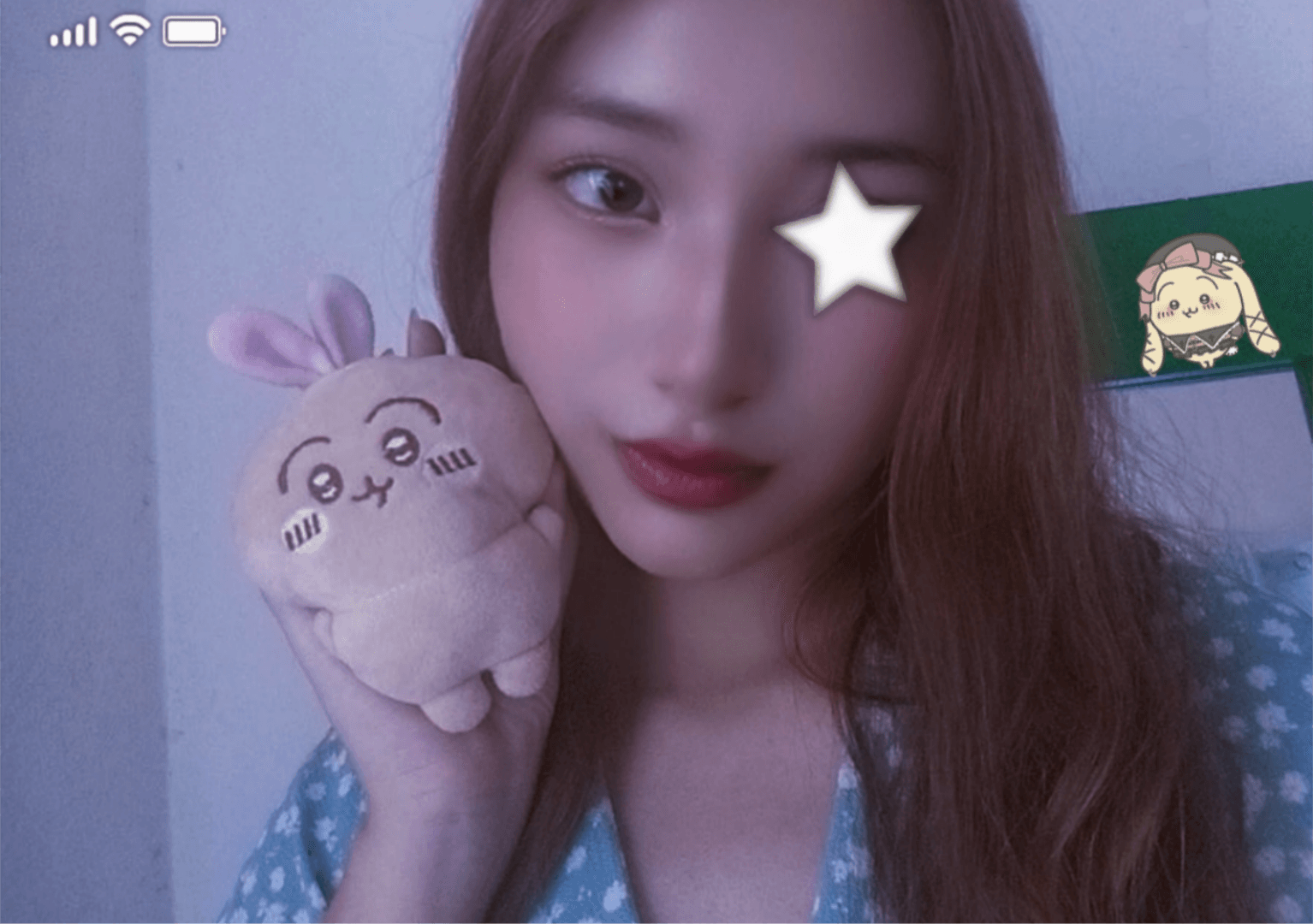 usagi