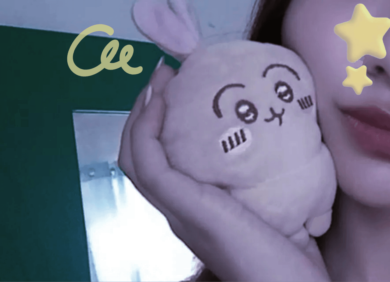 /ᐠ • ˕ •マ ฅ