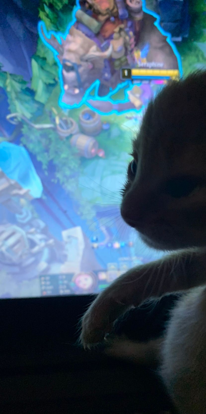 my kitty cat loves watchin me loose x