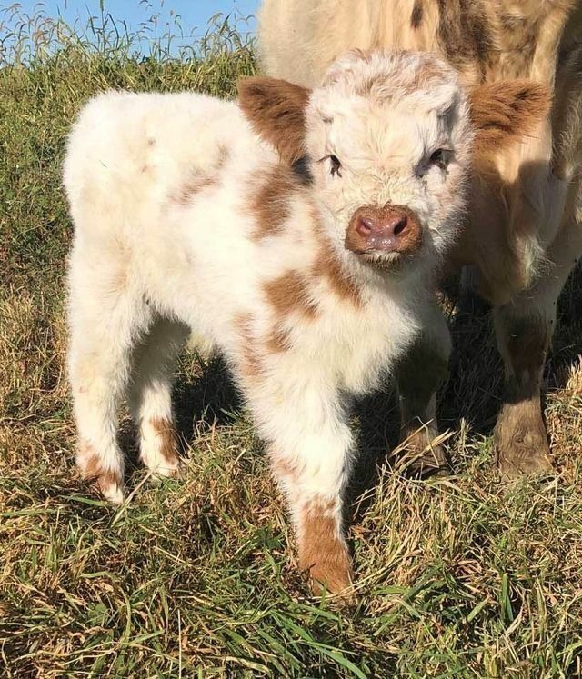 Hiiiiii!