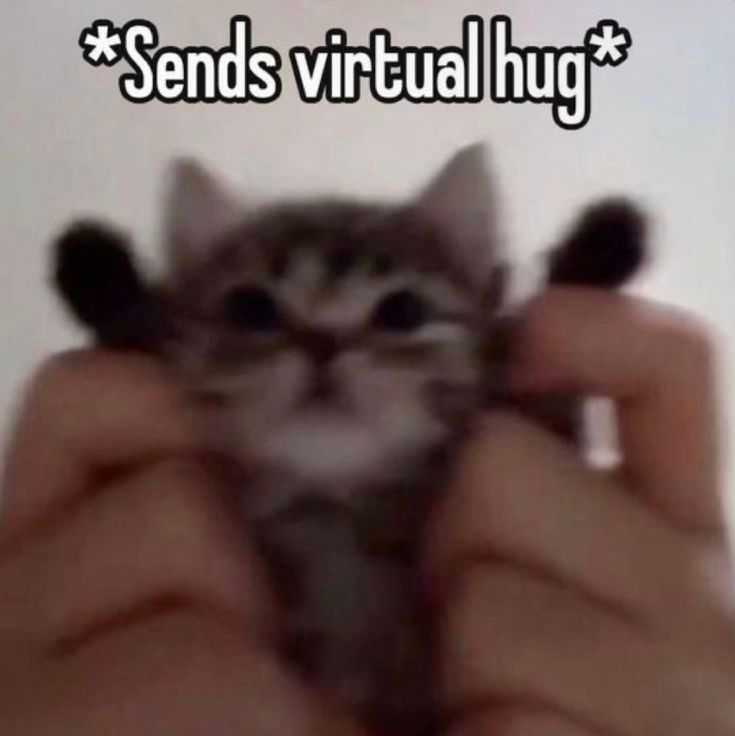a little hug for you ♡