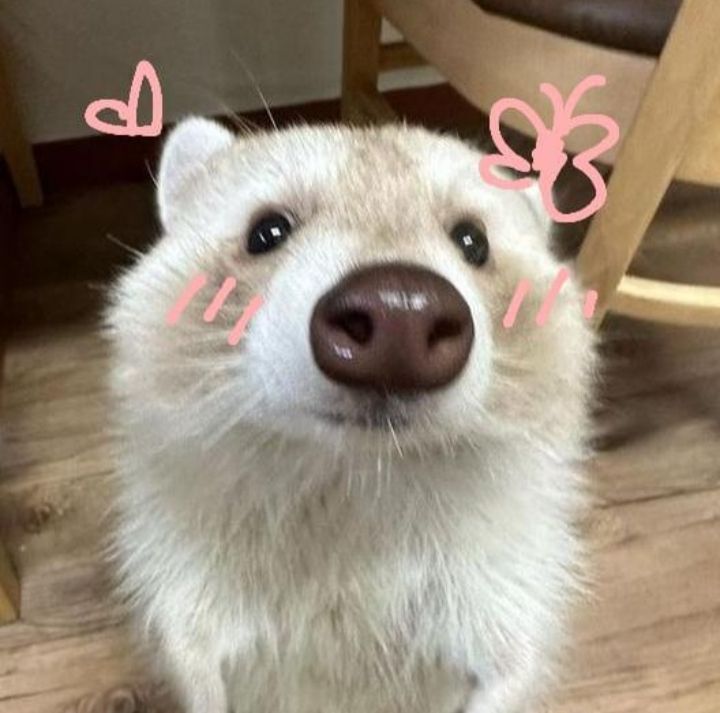 how are you really doing? ♡