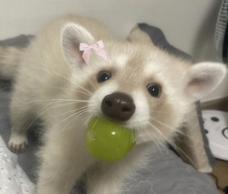 i think you’d like me ♡