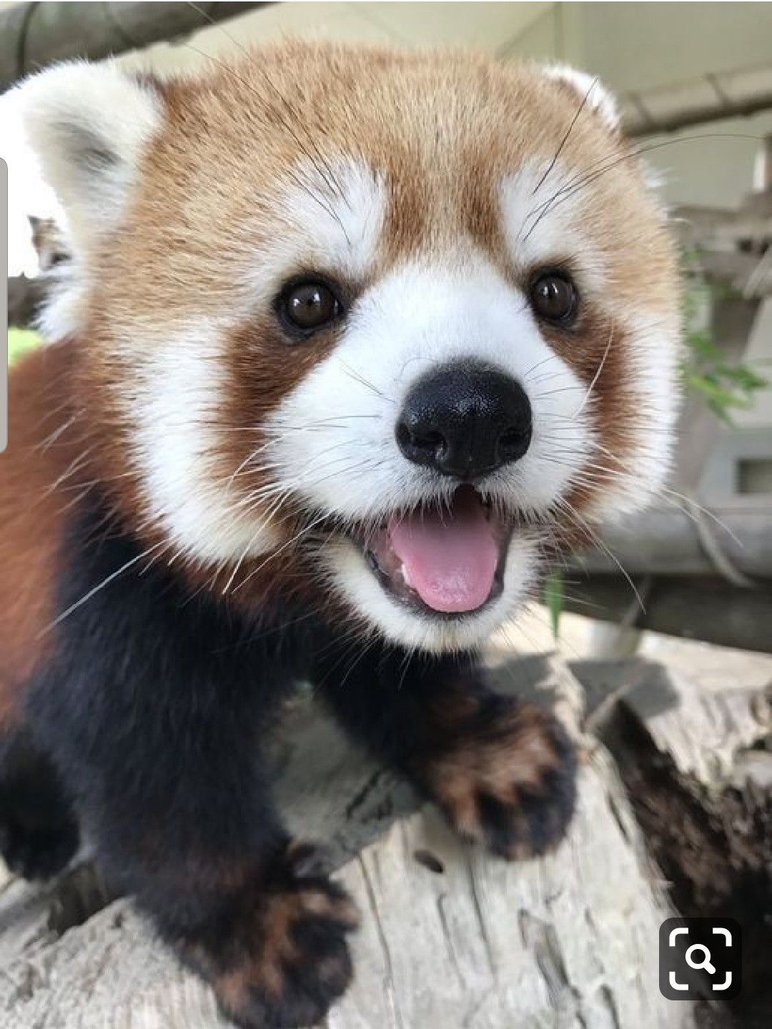 just wanted to make you smile ♡