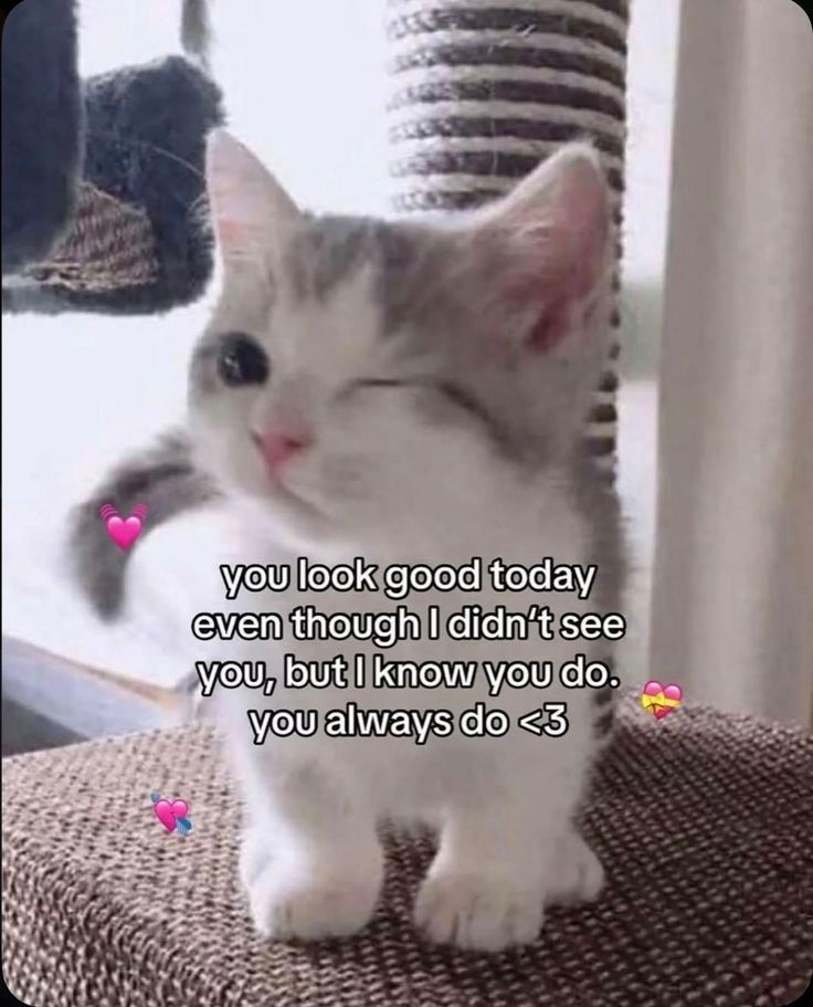 your sign to come say hi ♡