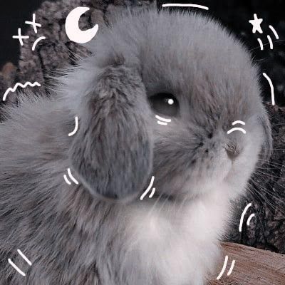 just wanted to leave you something cute
