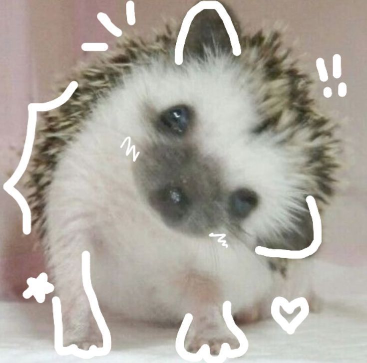 just wanted to make you smile ♡