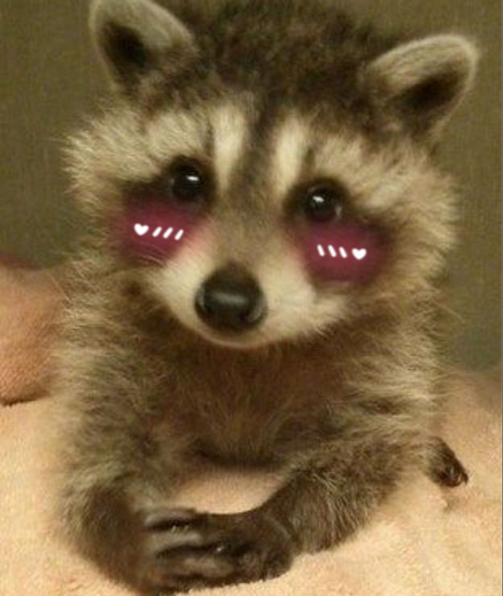 me when i see message from u ♡