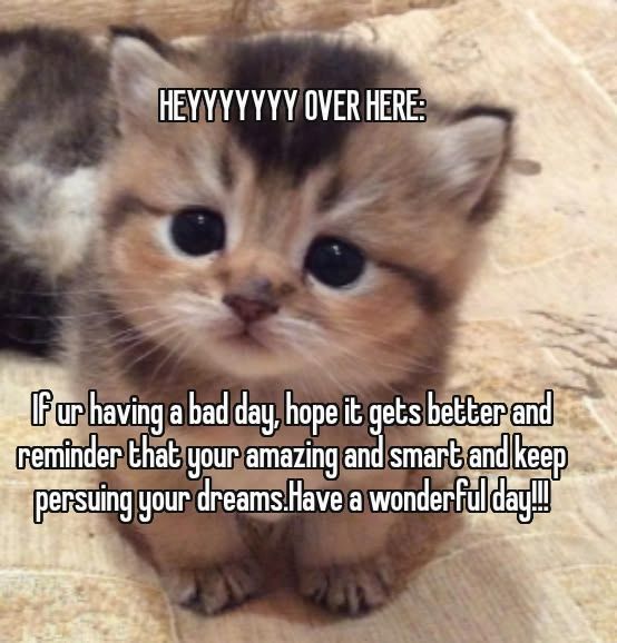 let me make your day a little better ♡