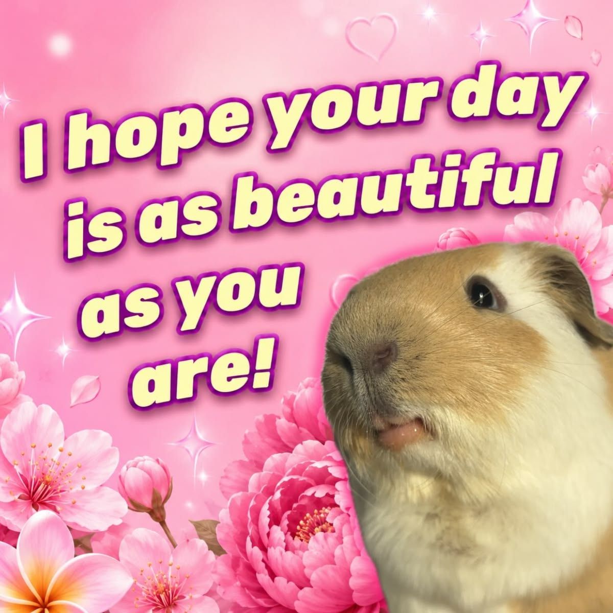 a little cutie came to wish you a lovely day ♡