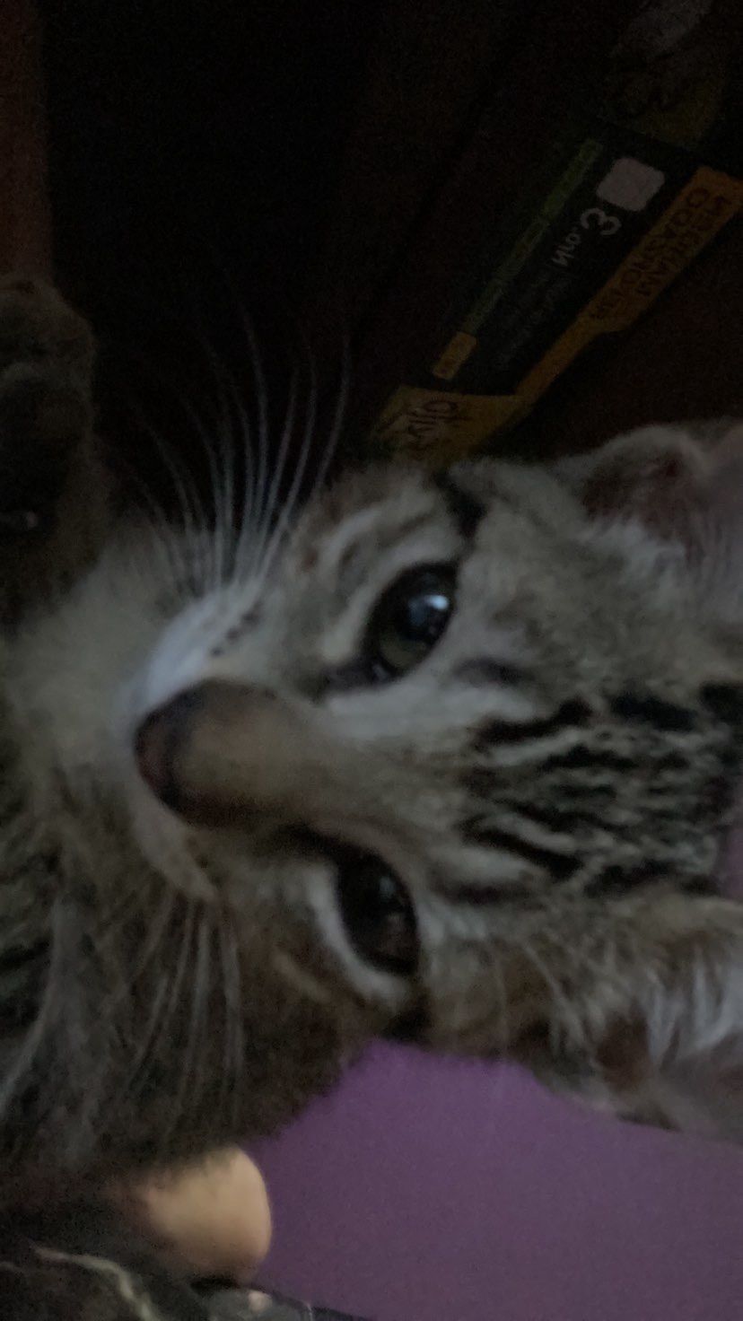 my kitty!!