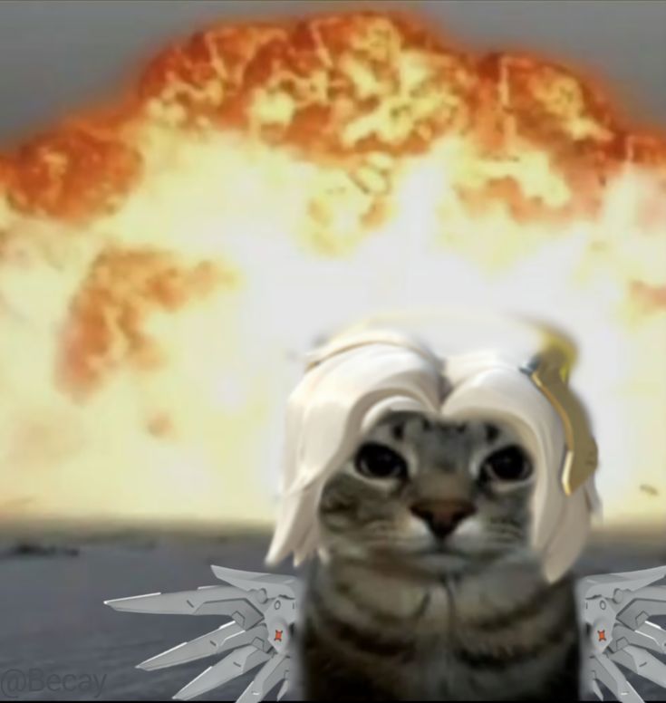 when hes in queue with another mercy pocket