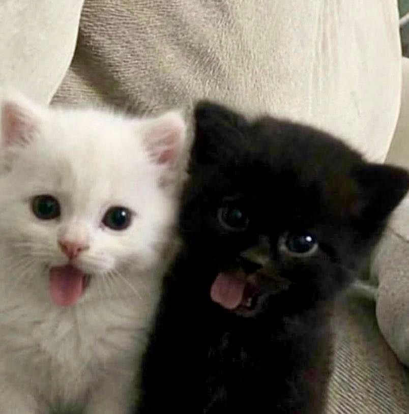 could be us...
