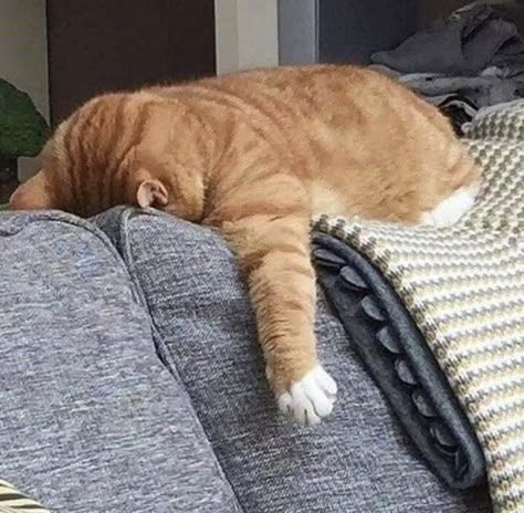 so sleepy...
